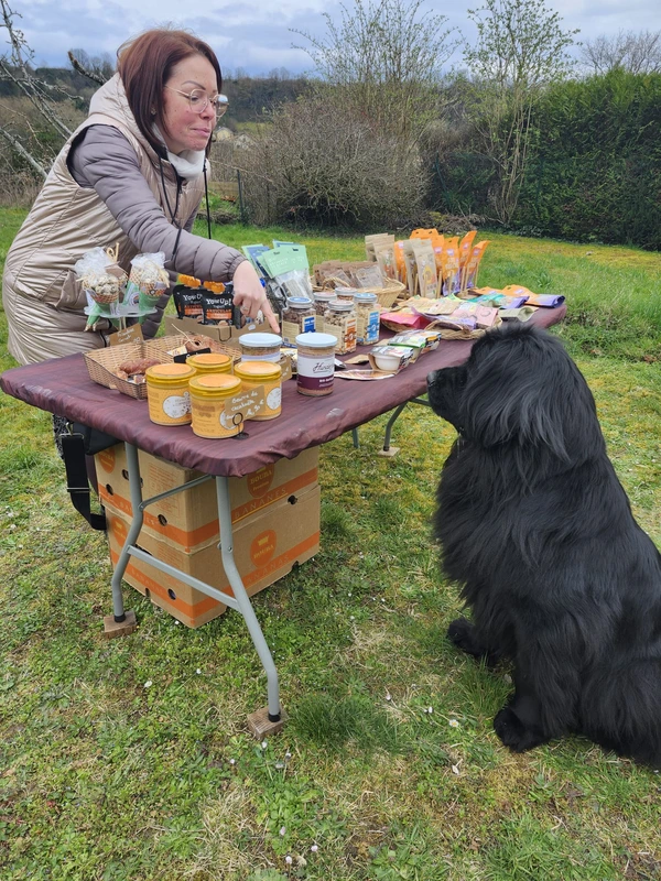 galerie happy dog 101