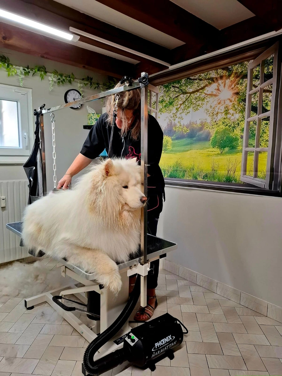 Laure pratiquant un toilettage